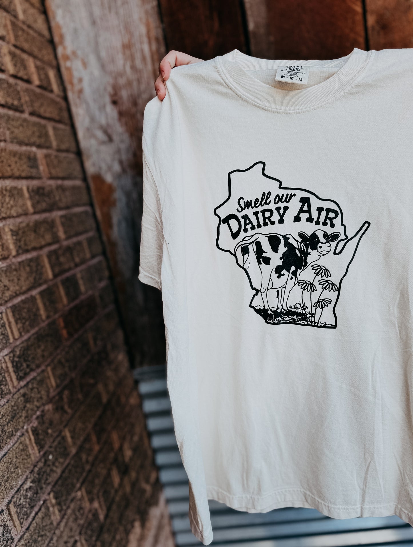 Dairy Air Wisconsin Tee