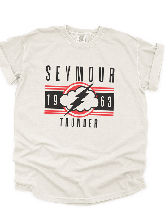 Retro Thunder Comfort Colors