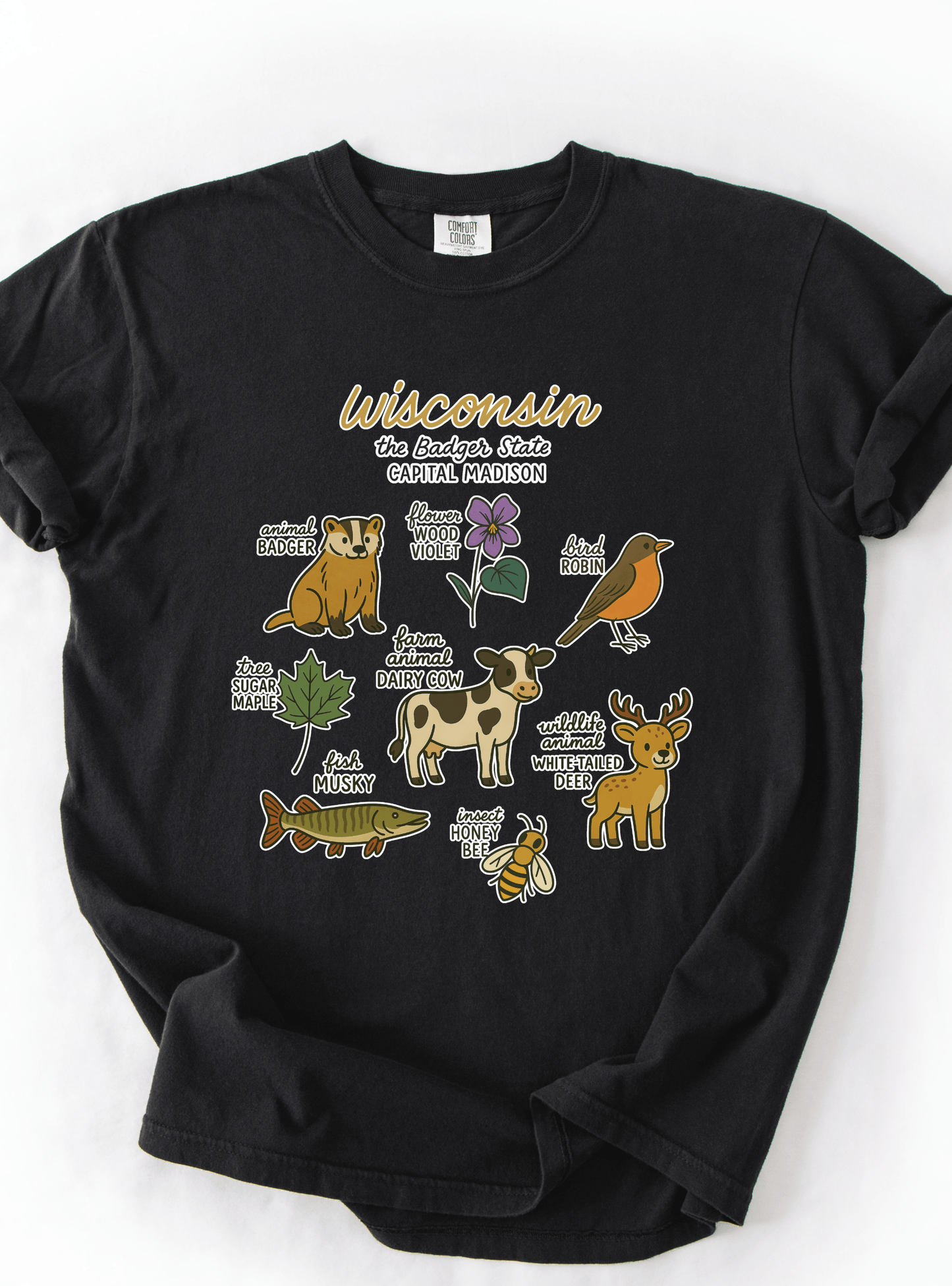 Wisconsin Icons T-Shirt