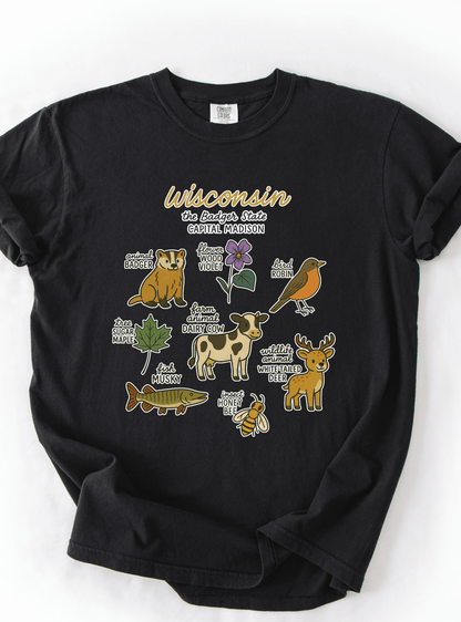 Wisconsin Icons T-Shirt