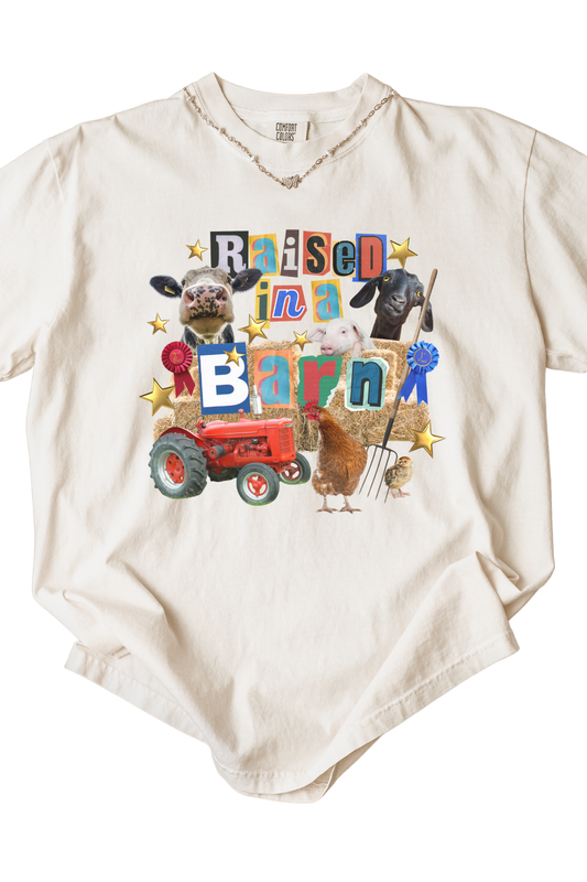 Raised in a Barn Tee