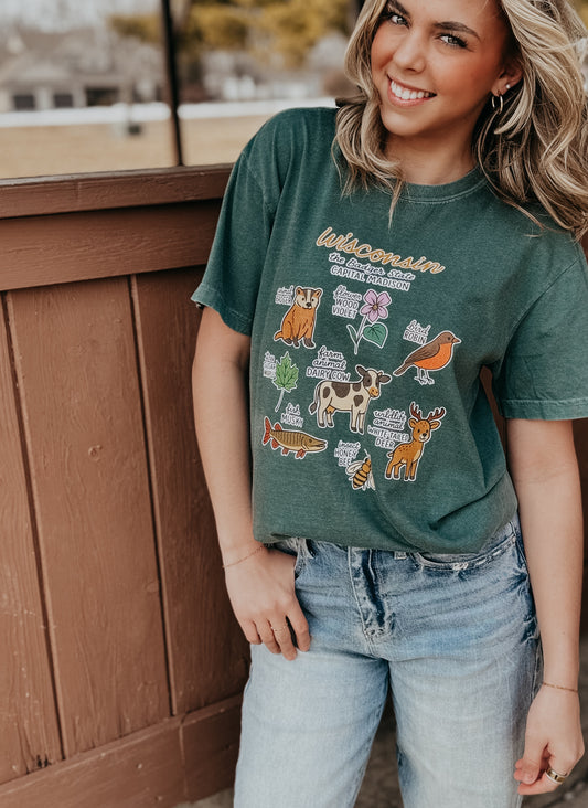 Wisconsin Icons T-Shirt